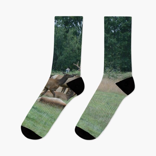 Item preview, Herd of Elk in the Wild – Pacific Northwest Wildlife designed and sold by starcraft542.