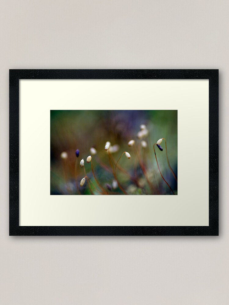 Alternate view of Aliens of Nature Framed Art Print