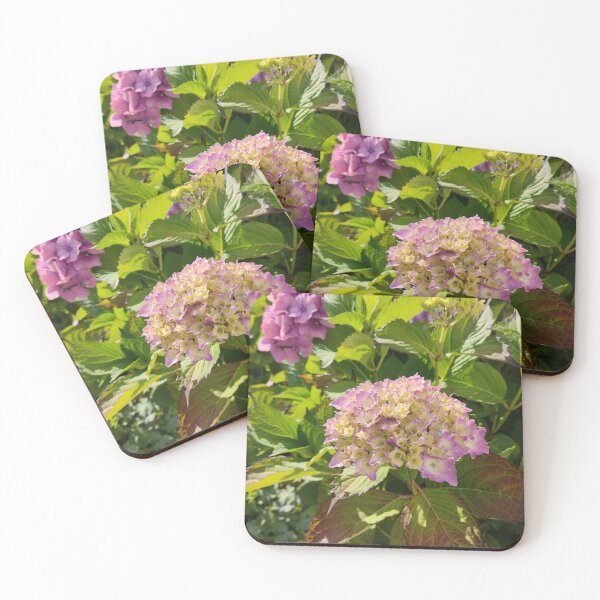 Item preview, Pink hydrangea blossoms photograph  designed and sold by esvb.