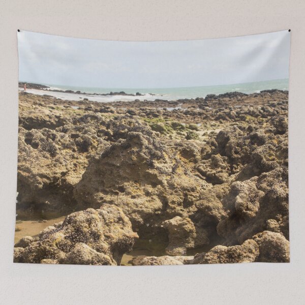 Item preview, infinite corals on a deserted beach 6 designed and sold by felipequeiroz.