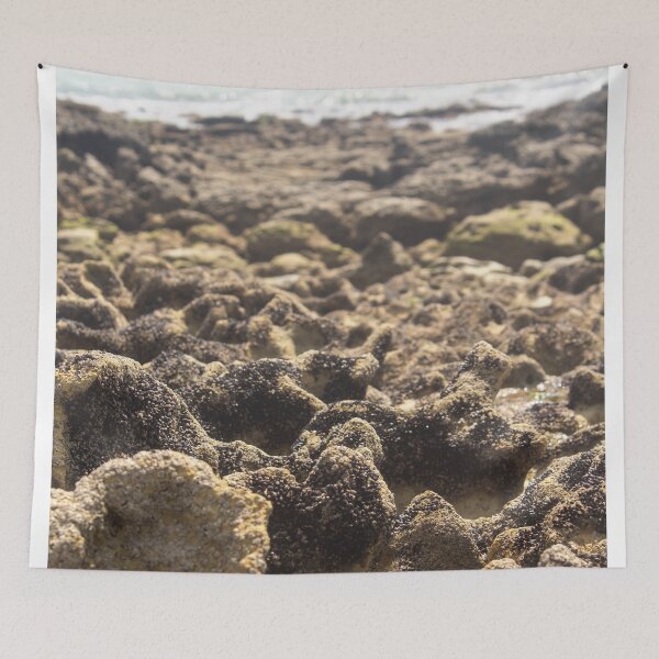 Item preview, infinite corals on a deserted beach 7 designed and sold by felipequeiroz.