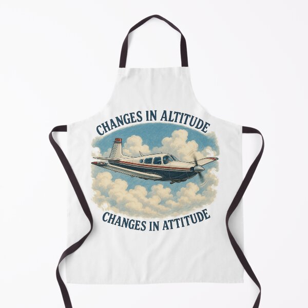 Item preview, Mooney - Changes in Altitude, Changes in Attitude designed and sold by Bob Zhurunkle.