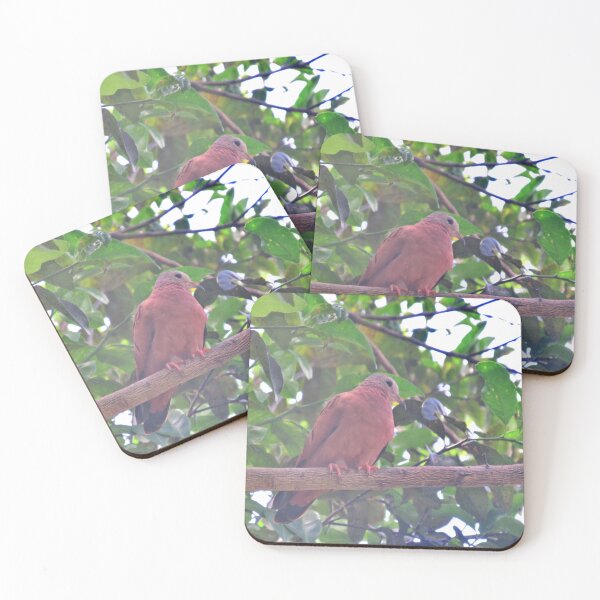 Item preview, Panamanian Dove (Male Rufous-backed Dove) Portrait | Bird Photography in the Garden designed and sold by Karina Creative Studio.