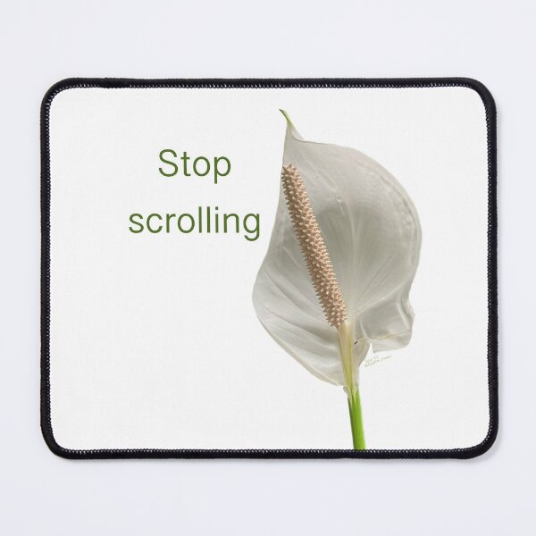 Item preview, Stop scrolling, peace lily  designed and sold by Josephine Ethereal.