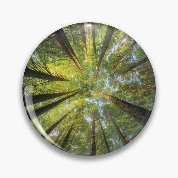 Item preview, Redwood Forest in the Otways designed and sold by Timo Balk.