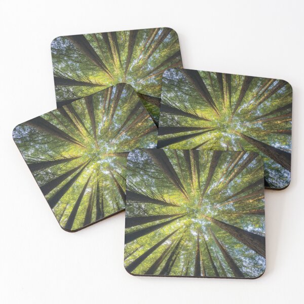 Item preview, Redwood Forest in the Otways designed and sold by Timo Balk.