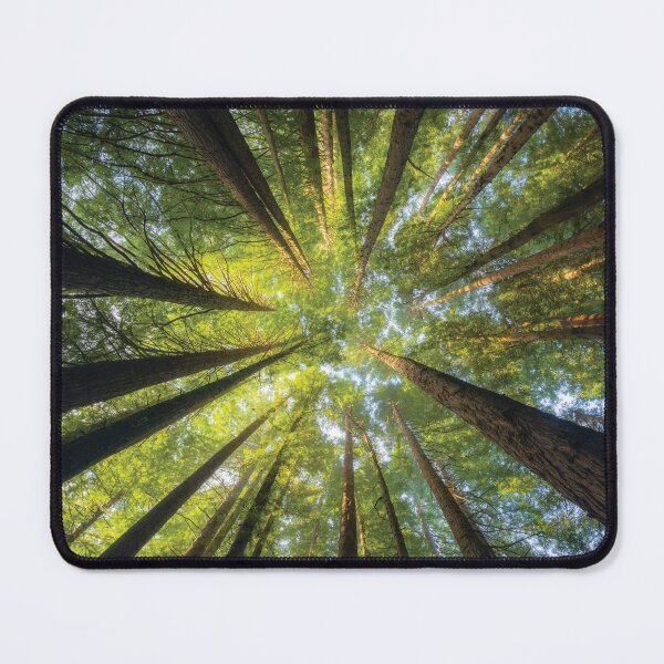 Item preview, Redwood Forest in the Otways designed and sold by Timo Balk.