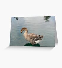 pouting Greeting Card