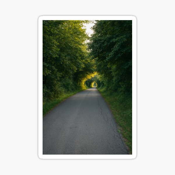 Item preview, Country Bike Path designed and sold by SachaMuru.