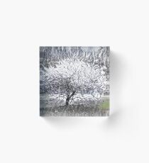 Eisbaum Acrylic Block