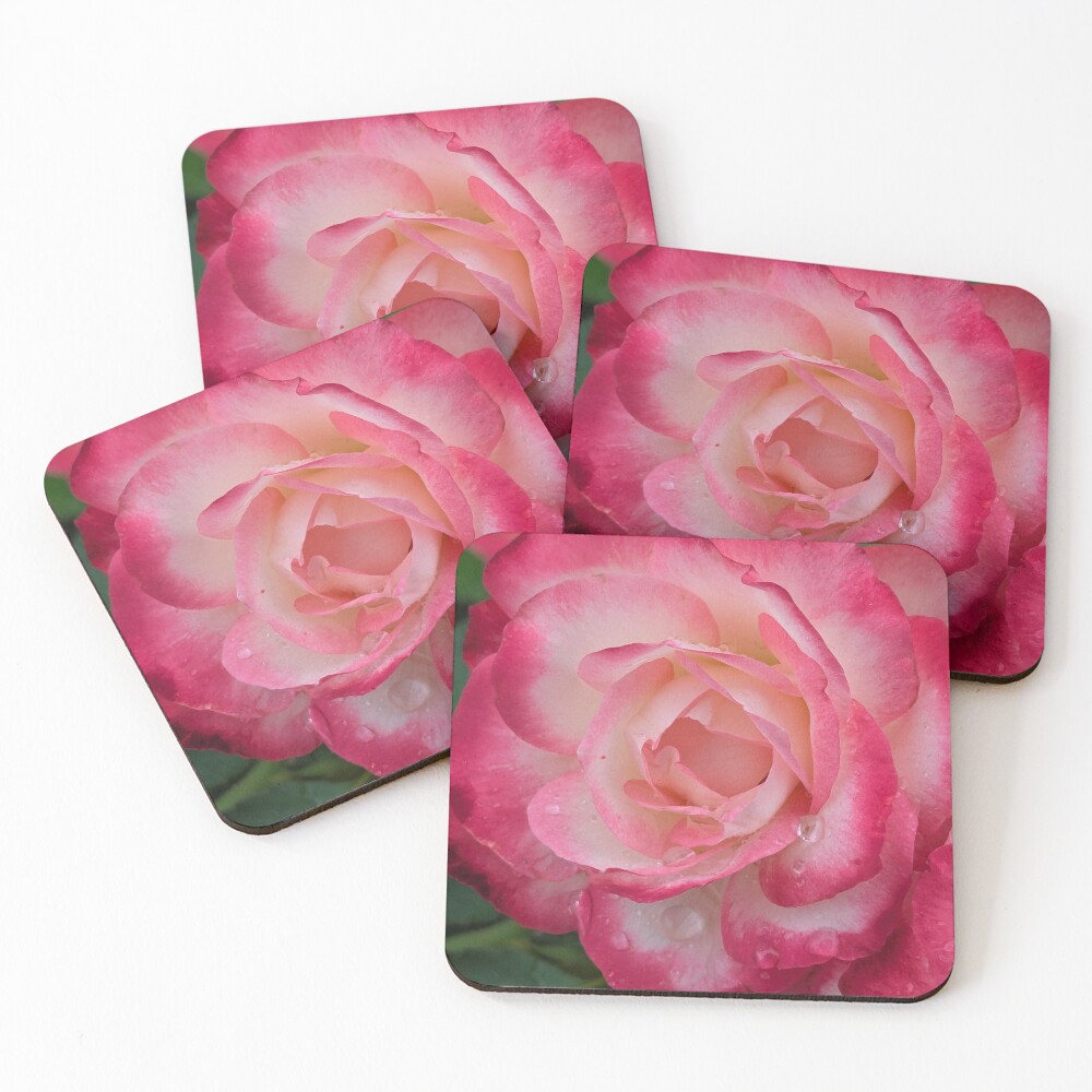 Item preview, Coasters (Set of 4) designed and sold by SlowPathsDesign.