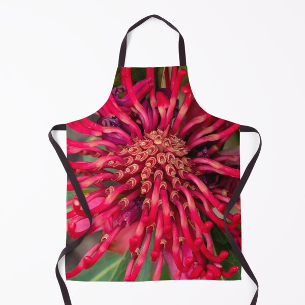 Item preview, red waratah stems designed and sold by Esther Frieda.