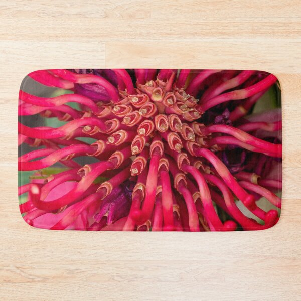 Item preview, red waratah stems designed and sold by Esther Frieda.