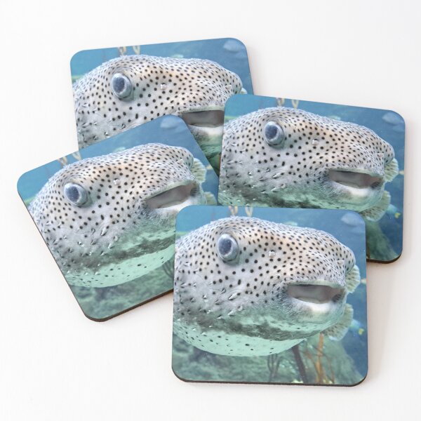 Item preview, Face to face with puffer fish designed and sold by RoosterD.
