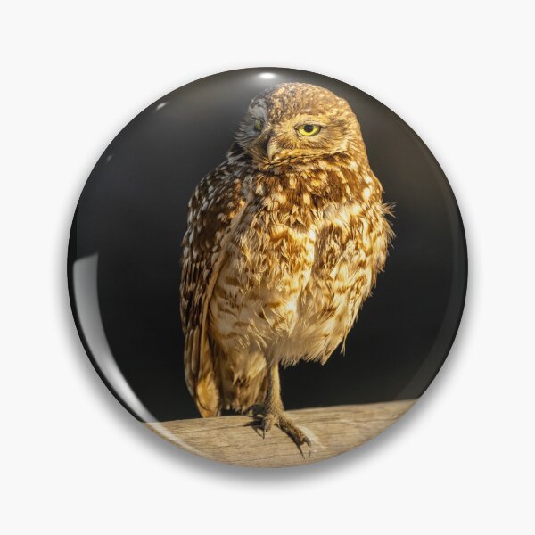 Item preview, Bolsa Chica Burrowing Owl designed and sold by PsychoAlien.com.