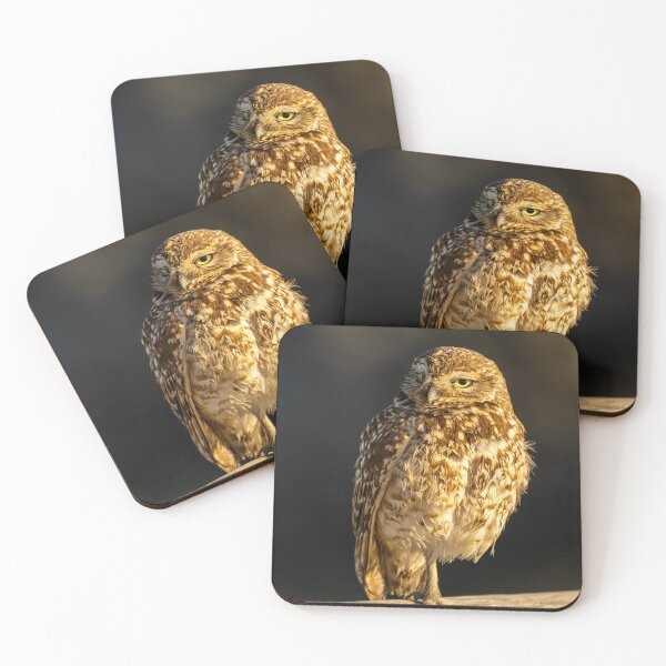 Item preview, Bolsa Chica Burrowing Owl designed and sold by PsychoAlien.com.