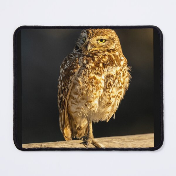 Item preview, Bolsa Chica Burrowing Owl designed and sold by PsychoAlien.com.