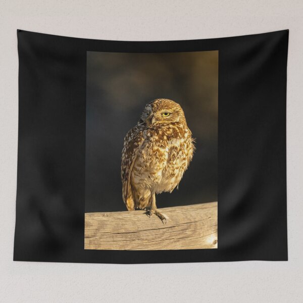 Item preview, Bolsa Chica Burrowing Owl designed and sold by PsychoAlien.com.