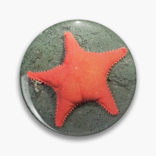 Item preview, Big ass star designed and sold by studio468.