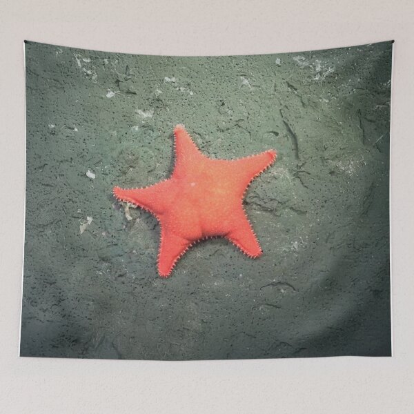Item preview, Big ass star designed and sold by studio468.