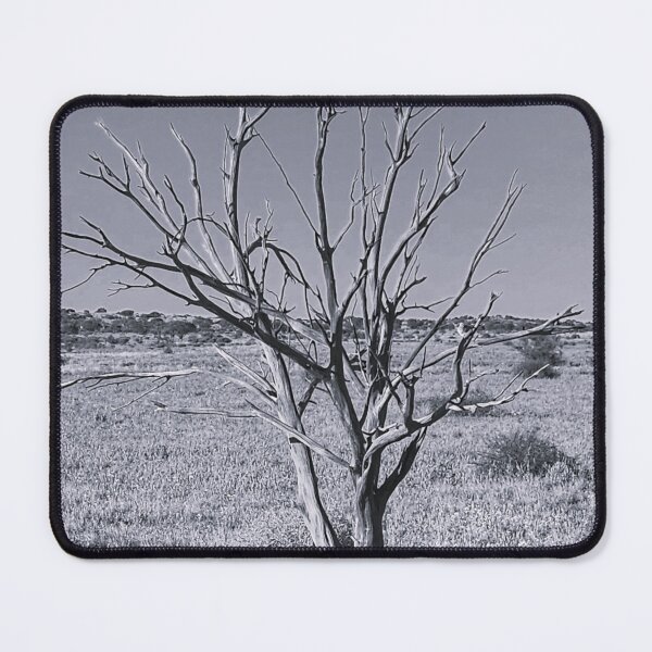 Item preview, barren tree designed and sold by SCZ 2021.