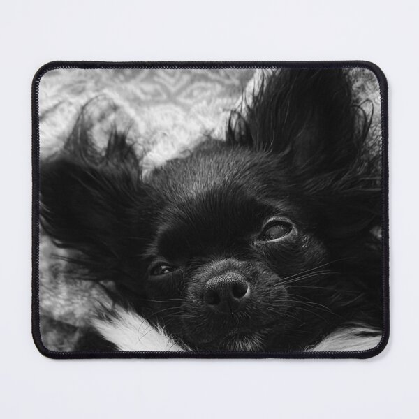 Item preview, sleepy dog picture designed and sold by SCZ 2021.