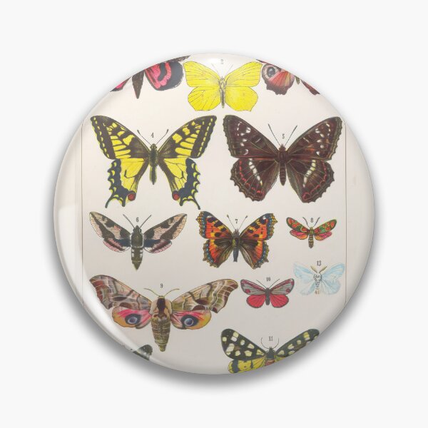 Item preview, Papillon  Vintage French Butterfly Chart by Adolphe Millot designed and sold by TeeARTHY.