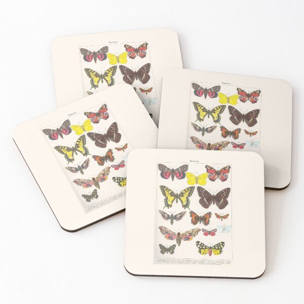 Item preview, Papillon  Vintage French Butterfly Chart by Adolphe Millot designed and sold by TeeARTHY.