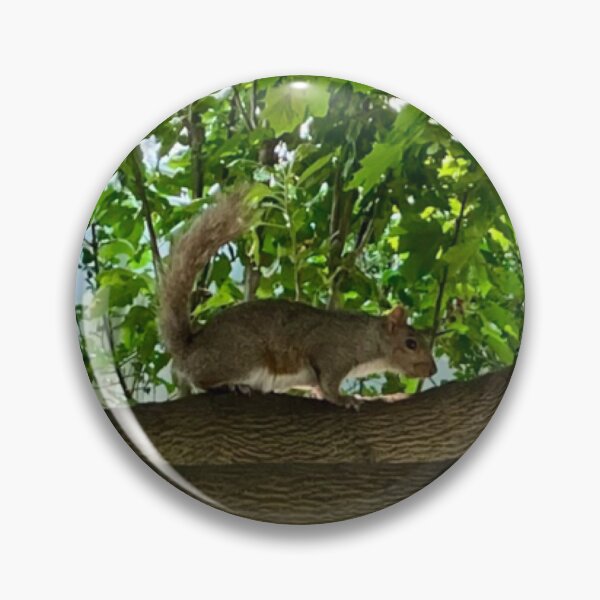 Item preview, Squirrel in a Maple Tree designed and sold by Amanda1775.