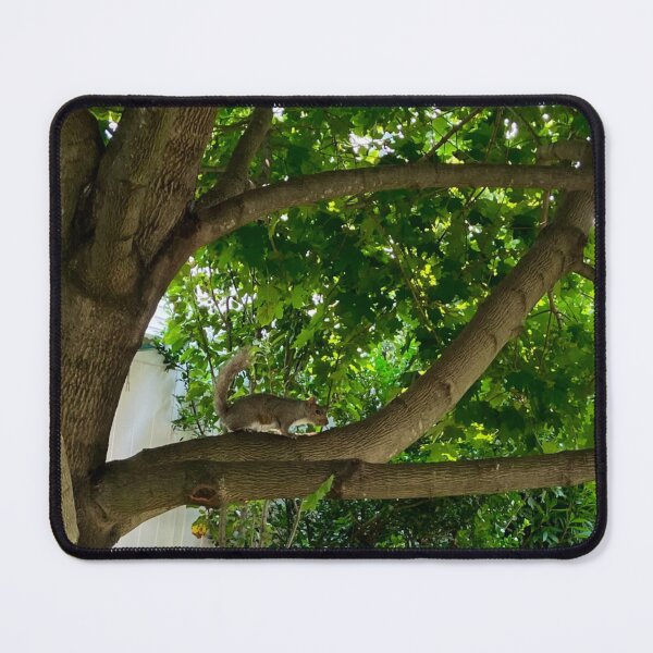 Item preview, Squirrel in a Maple Tree designed and sold by Amanda1775.