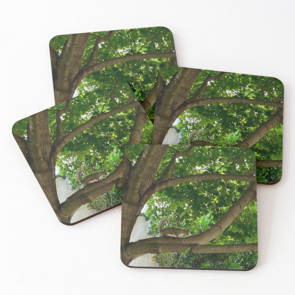 Item preview, Squirrel in a Maple Tree designed and sold by Amanda1775.