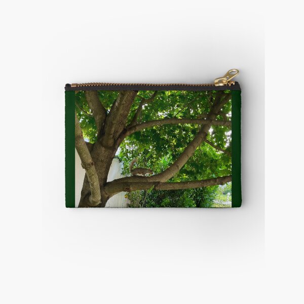 Item preview, Squirrel in a Maple Tree designed and sold by Amanda1775.