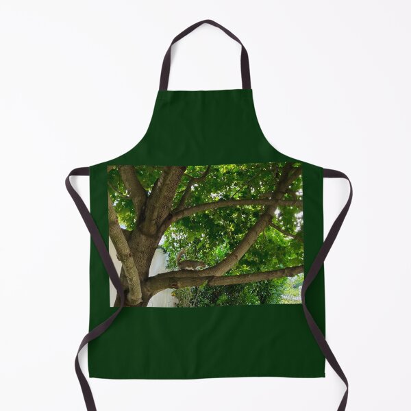 Item preview, Squirrel in a Maple Tree designed and sold by Amanda1775.