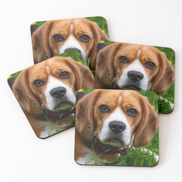 Item preview, Beagle Headshot designed and sold by xesh.