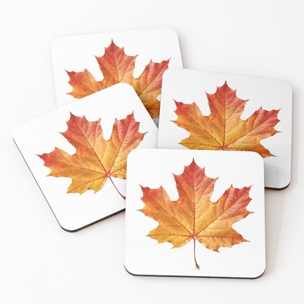 Item preview, Autumn Maple Leaf – Realistic Fall Foliage Illustration designed and sold by StudioDina.