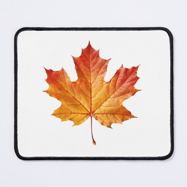Item preview, Autumn Maple Leaf – Realistic Fall Foliage Illustration designed and sold by StudioDina.