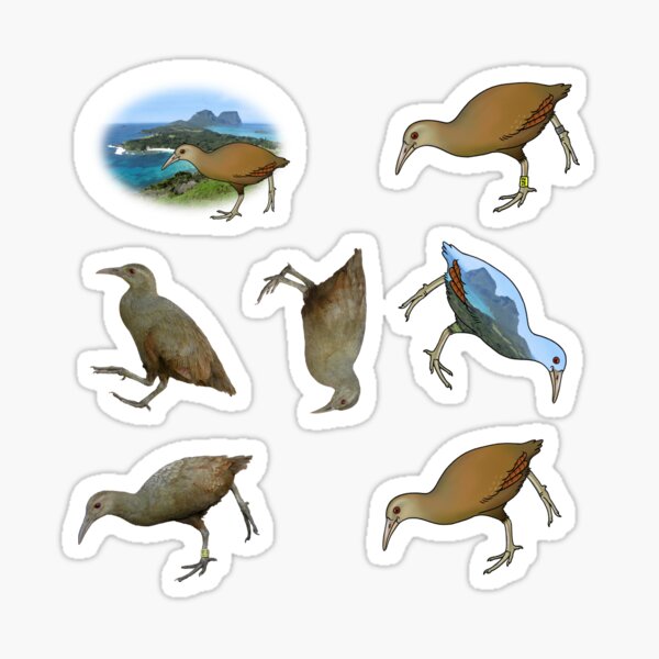 Item preview, Lord Howe Woodhen stickers/magnets designed and sold by ZoObsessed.