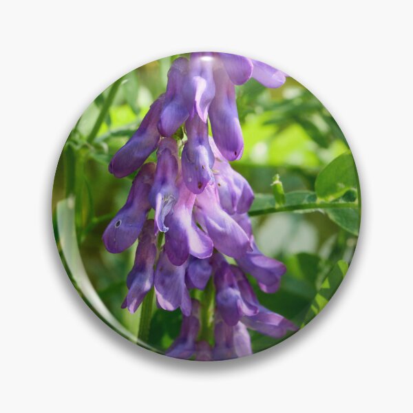 Item preview, Up we go. Tufted Vetch designed and sold by Jouko Lehto Photography.