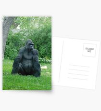 Denver zoo gorilla Postcards