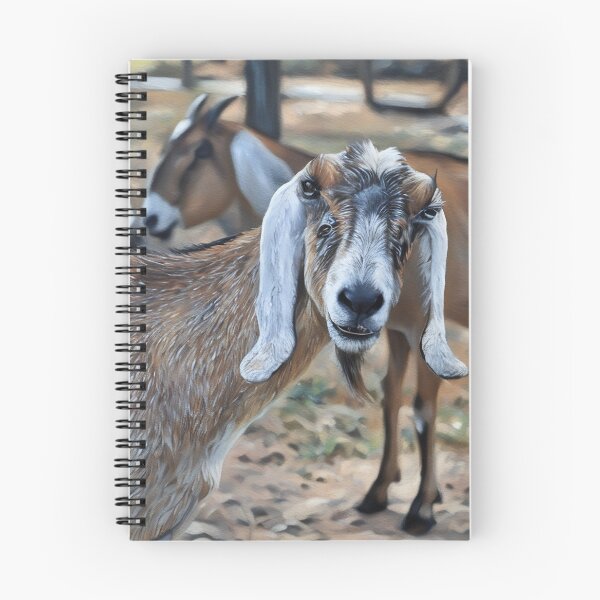 Item preview, Nubian Goats at Dream Girls farm looking at you kid, designed and sold by RobynPeters1836.