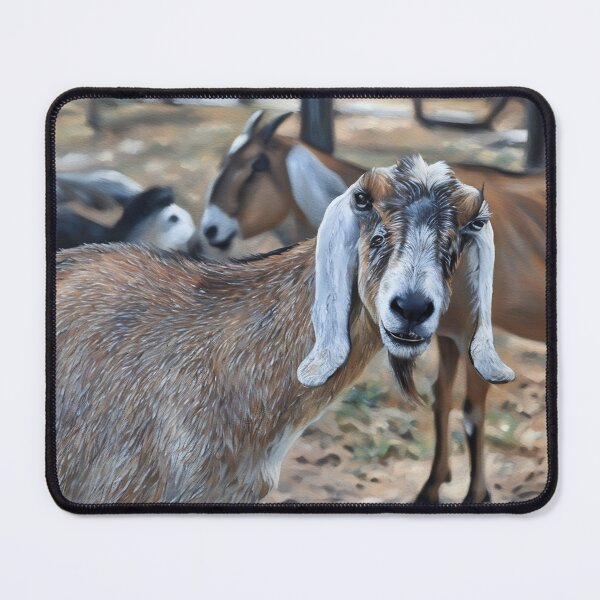 Item preview, Nubian Goats at Dream Girls farm looking at you kid, designed and sold by RobynPeters1836.