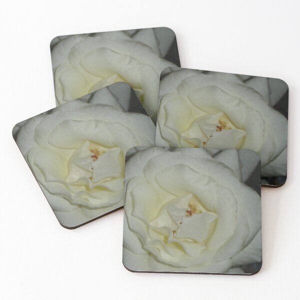 Item preview, Solo Rose designed and sold by KazM.