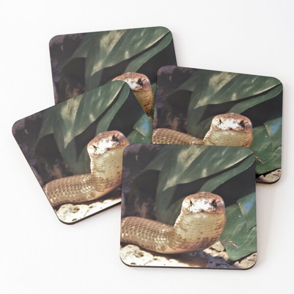 Item preview, The Monocled Cobra designed and sold by Yolanda Caporn Art.
