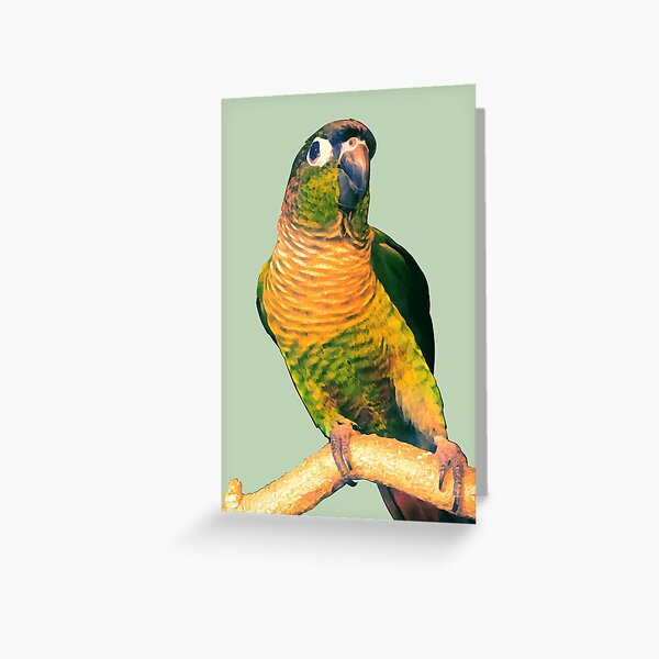 Item preview, Silly Mickey the Green Cheek Conure designed and sold by RexGrounds05.