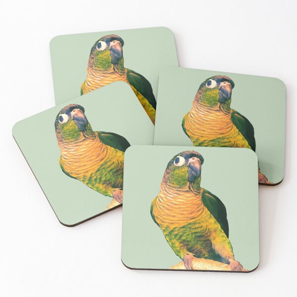 Item preview, Silly Mickey the Green Cheek Conure designed and sold by RexGrounds05.