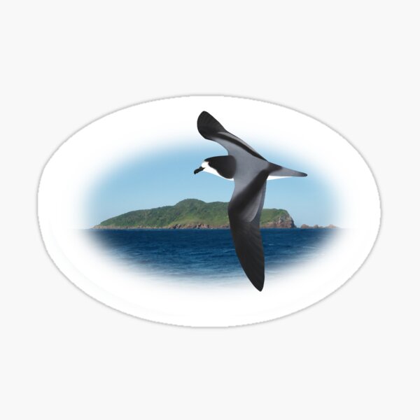 Item preview, Gould's Petrel designed and sold by ZoObsessed.