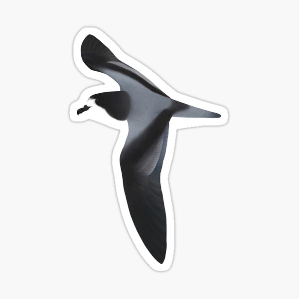 Item preview, Gould's Petrel designed and sold by ZoObsessed.