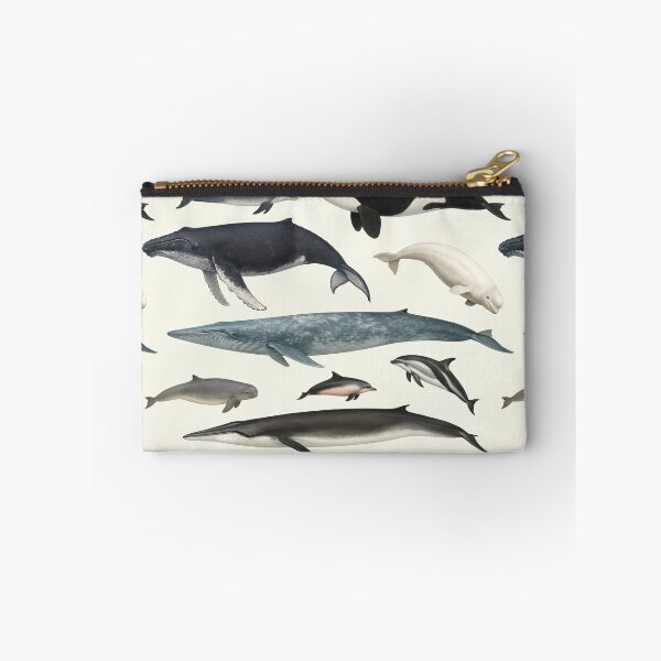 Item preview, Cetaceans of the World Illustration Chart Dolphin Whale designed and sold by kakarikihill.