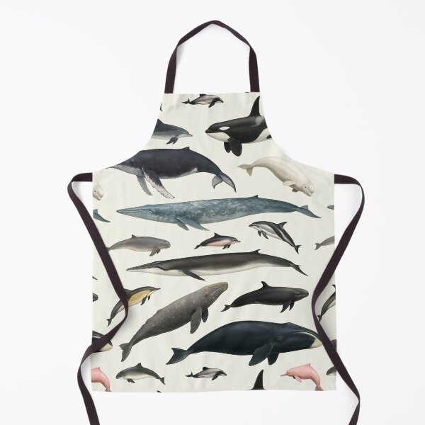 Item preview, Cetaceans of the World Illustration Chart Dolphin Whale designed and sold by kakarikihill.