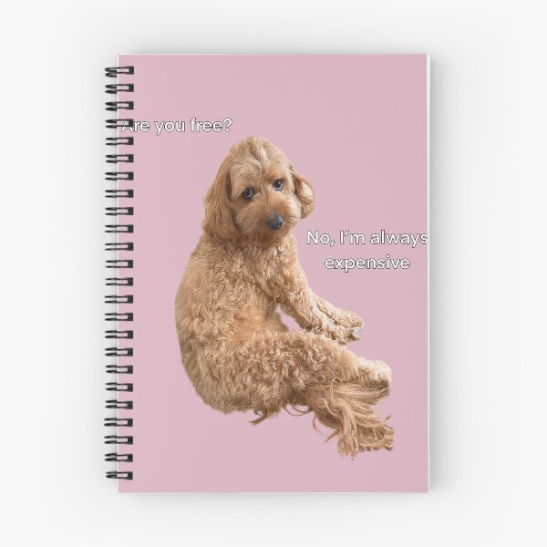 Item preview, Labradoodle Dog sarcastic staring Meme designed and sold by Prime_Store.
